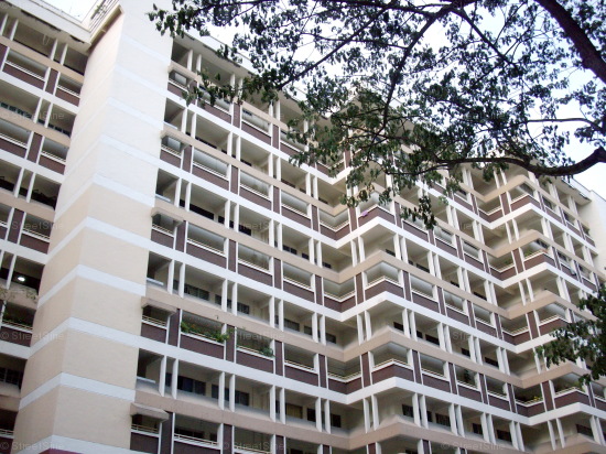 Blk 558 Jurong West Street 42 (Jurong West), HDB Executive #441502